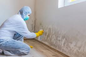 Mold Remediation for Vacation Homes in Woodson Terrace, MO