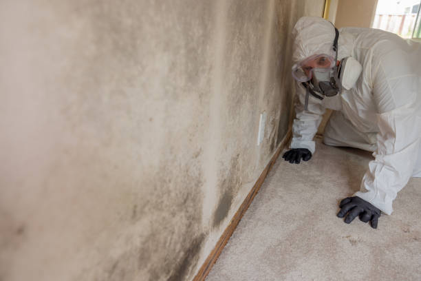 Best Forensic Mold Investigation  in Woodson Terrace, MO